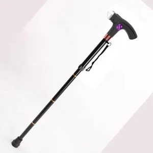 children walking stick