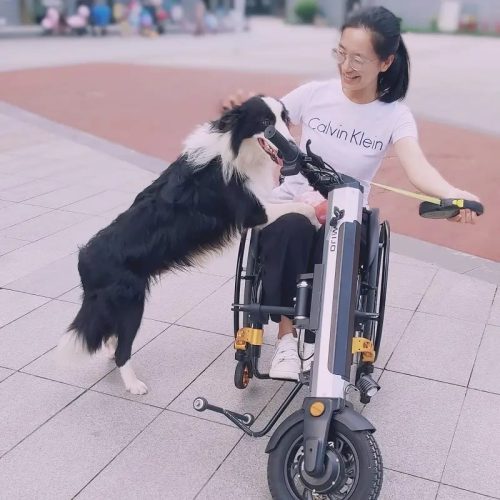 MT02 Electric Handbike for Wheelchair - Wheelchair Attachment-2 MT02 Electric Handbike for Wheelchair - Wheelchair Attachment