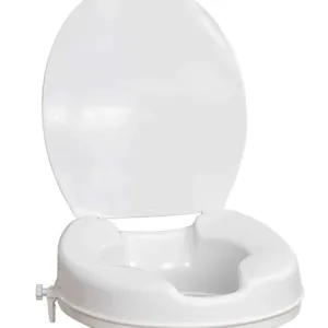 Toilet seat raiser
